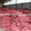 Red Onion Fresh Yellow Onion Exporter in China