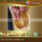 Press Key flexible stretchable programmable moving message led advertising sign