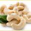 Vietnam nutritious cashew nuts for exporting