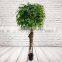 Fake Decorative Ficus Tree Artificial Ficus Tree Plant For Landscape Project