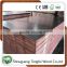 China Film Faced Plywood Factory / Commercial Plywood / Marine Plywood Price