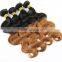 Hair Manufacturer body wave virgin brazilian ombre hair weaves for reseller                        
                                                                                Supplier's Choice