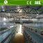 Battery cage for layer and broiler raising equipment