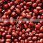 supplying SMALL RED BEANS (CHINA)for sale