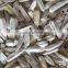 Supply Roasted Salted Sunflower Seeds With Different Type
