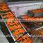 Supplying Good Quality Red Carrot