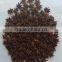 VIETNAM SPRING STAR ANISEED, HIGH QUALITY, BEST PRICE (+841657106604 - WHATSAPP)
