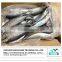 frozen mackerel fish/ Grade A frozen spanish mackerel in high quality