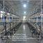 Automatic Milking Machine For Milking Sheep and Goats