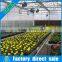 Flood Bench Systems greenhouse bench on wheels