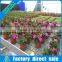 Greenhouse Planting Table Movable Seedbed for Vegetables