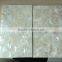 irregular triangle white lip mother of pearl shell veneer