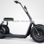 Newest popular citycoco 800W Electric Scooter/brushless motor scooter/ widen tire scooter (TKE-S800)