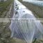 Garden used agricultural greenhouse tunnel film on sale