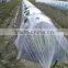 Garden Used Agricultural Greenhouse Tunnel Film on Sale