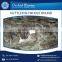 EEC/ FDA Certified Frozen Baby Cuttlefish for Sale