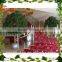 Located in china Hotel hall high simulation competitive price all kinds of 10ft high bonsai banyan tree plastic