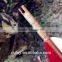 110cm Rainbow Tonkin Bamboo Long Arrows