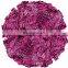 PET cheering pompom Plastic cheerleader (Sold Individually) pom pom you jizz tube pse japan free pom tube8 japanese fur pom poms
