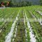 Agriculture Protection Solar Light Reflection Film White or Silver Black Layers Plastic Ground Cover Mulch Sheet