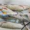 Brush Type Fish Scale Removing Scaling Remover Processing Machine