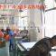Crocodile Print Pet PU Collar Leash Training Dog Pulling Rope Pet Neck Chain Pet Supplies