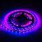 SK6812 mini led strip 30leds LC8812B 3535 smd rgb led strip