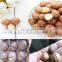 Best price Hawaiian Fruit Cracker Nut Cracker Machine Macadamia Open Machine