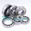 30x62x16 mm Deep Groove Ball Bearing 6206 LLU C3/5K single row bearing 6206-LLU-C3-5K-NTN