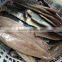 Frozen mahi-mahi fillets PBI