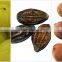 Purest Triphala Powder Bulk Producers