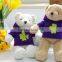 Plush Toy Bear Wearing Purple Hoodie/Luck Soft Gift Toy Bear with Hoodie Printing Clover/Stuffed Toy Bear in Clothes