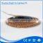 Wholesale 5050 12V Warm White 120led ip68 5v led strip