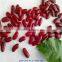 Dark red kidney beans for sale 2015