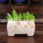 2016 small cheap porcelain decorative ceramic flower pots for Succulents plant