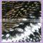acrylic long pile synthetic fur fabric jacquard knitting fabric white/black