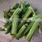 Fresh Indian Drumsticks/Moringa oleifera/Moringa/Mixed Vegetables from India