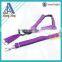 customized professional nylon training dog leash