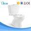 Ceramic Bathroom Sanitary Ware Washdown Two Piece Toilet