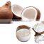 OEM natural Coconut Milk Powder private label healthy bag