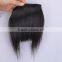 Top beauty hot selling 100% human hair bang