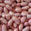 Wholesale Peanuts