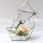Vintage Style five angular geometric glass greenhouse box jewelry box and showing virtus(Silver and Black ).
