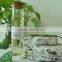 Garlic Oil Garlic Seed Oil Factory Bulk Price