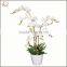 factory wholesale artificial plant weeding decoration artificial potted orchid flower