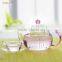Tea tureen heat-resistant glass tea cup and saucer set in box with Shanghai CHIKAO