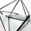 17*12*9.5cm geometric rhombus glass terrarium transparent flower arrangement air plant planter greenhouse home decoration0100005