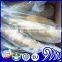 Whole round yellow croaker fish price for market sale