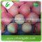 Shandong sweet red fresh gala apple