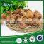 Wholesale 100% Natural Organic Agaricus Blazei Murill Mushroom